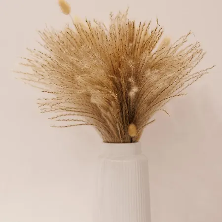 Coho House * Fiumicino